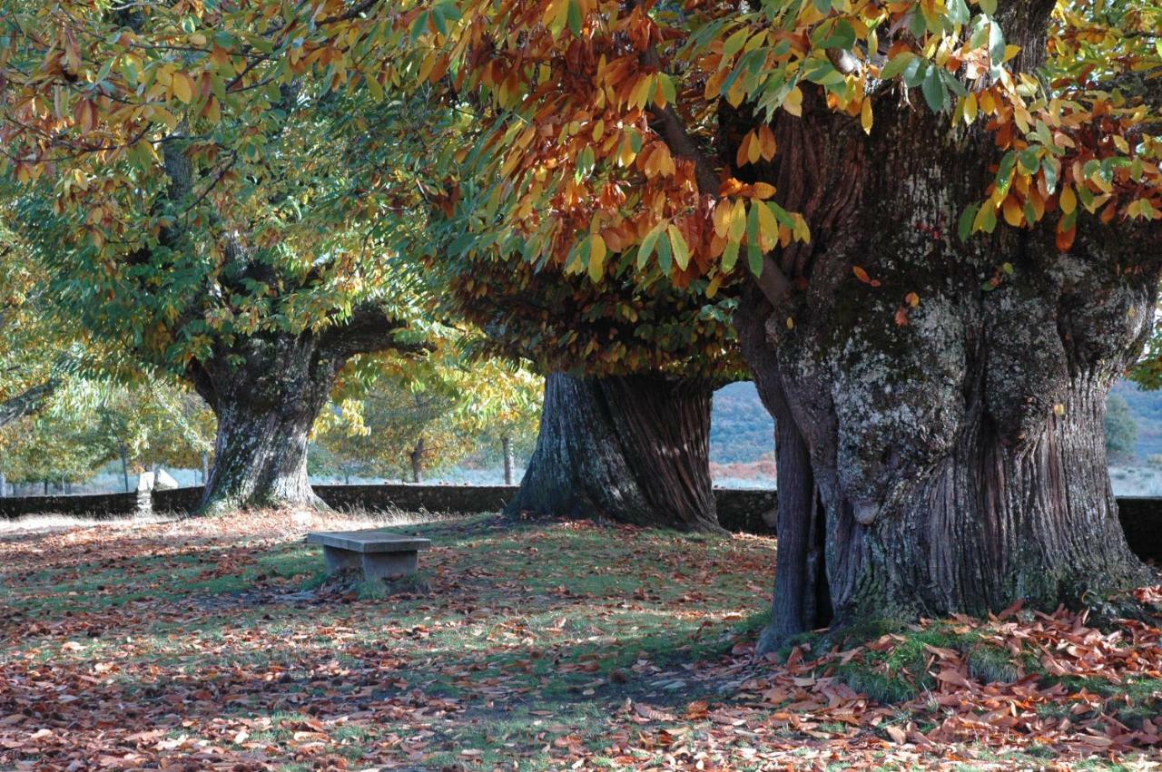 La Era De Sanabria Vila Villarino de Sanabria Exterior foto